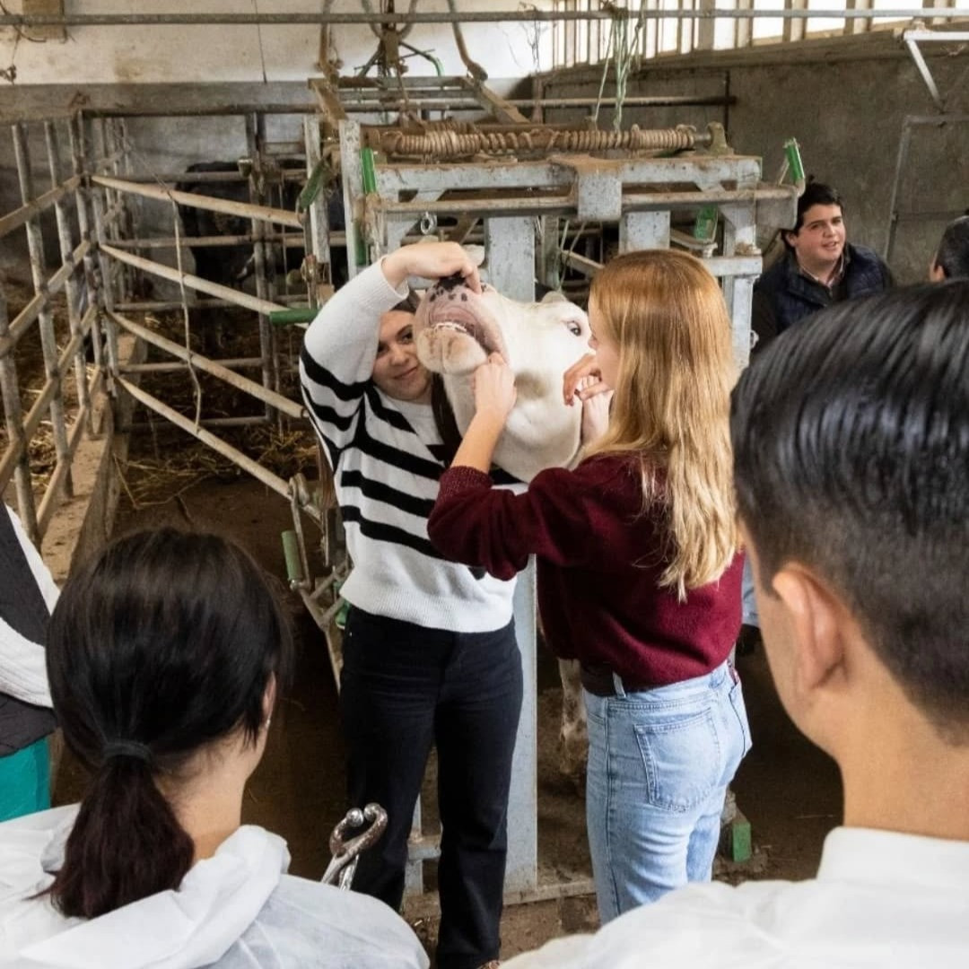 Alunos da ETPR Vivem Semana Imersiva na Escola Superior Agrária de Santarém 🌱💻